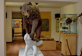 Museo dell’Orso Marsicano