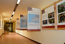 Museo dell’Orso Marsicano
